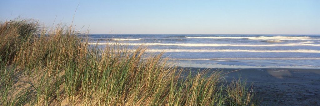 Les Landes