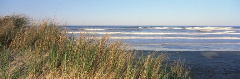 Les Landes